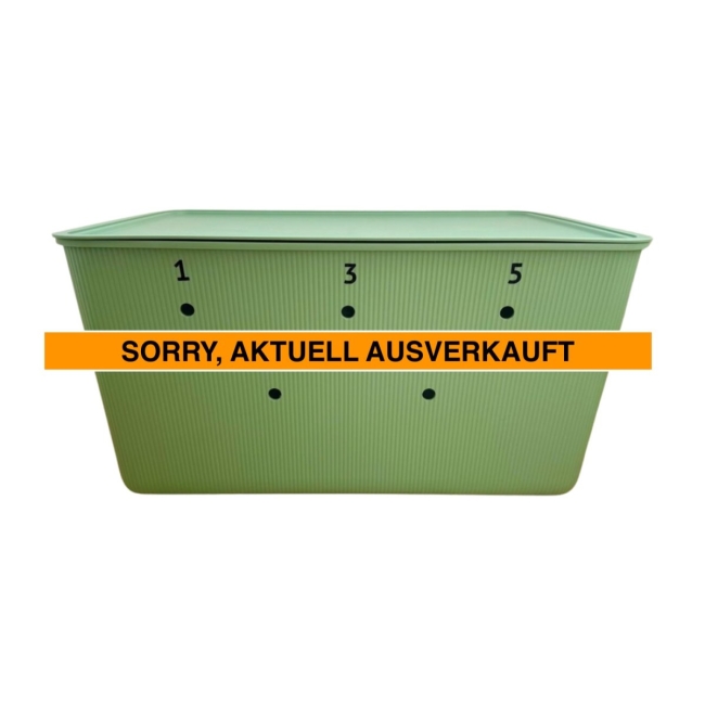 Box für Schatztruhengasse, grün (Stufe 3)  