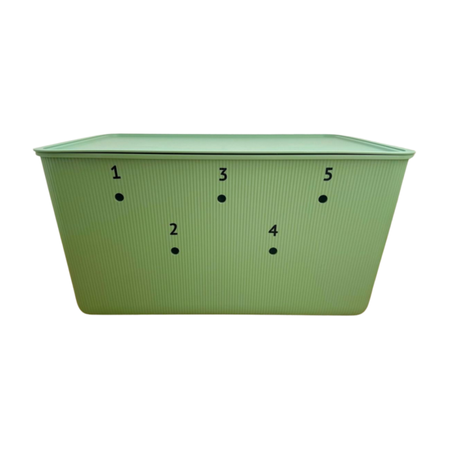 Box für Schatztruhengasse, grün (Stufe 3)  