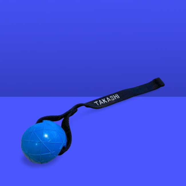 2. Chance Artikel: Moby Dog Ball